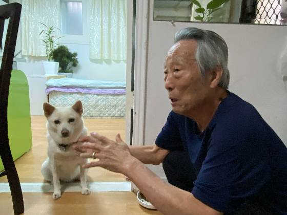 할아버지 곁에 꼭 붙어서 잠시도 떨어지지 않던 행운이. 움직이기만 해도 귀를 쫑긋거리며 경계했다./사진=남형도 기자