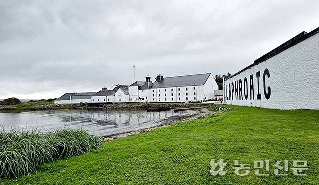 아일레이섬의 3대 피트 위스키를 생산하는 라프로익 증류소.