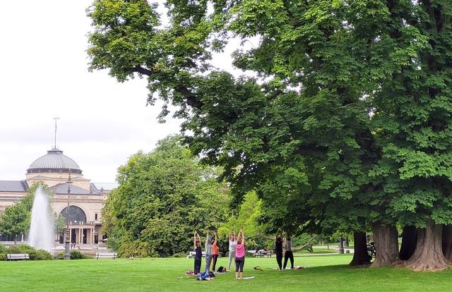지난 8월 독일 비스바덴 쿠어공원(Kurpark) 마로니에 나무(Rosskastanie) 아래서 시민들이 요가를 하고 있다.