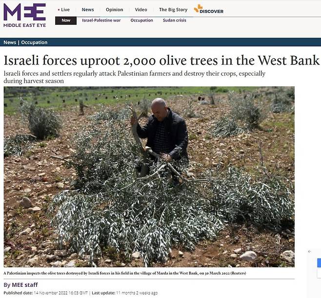▲'이스라엘군이 서안 지구 내 올리브나무 2000 그루를 뽑았다'고 밝히는 미들이스트아이 기사 갈무리. 팔레스타인 주민이 서안지구 마르다 마을의 밭에서 이스라엘군이 파괴한 올리브 나무들을 살피고 있는 사진.