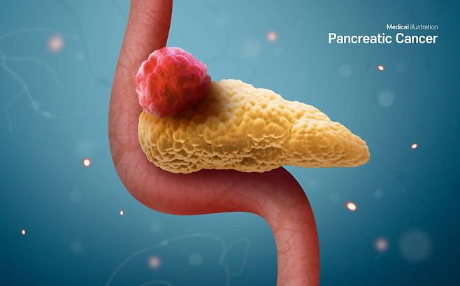 사진=클립아트코리아 제공