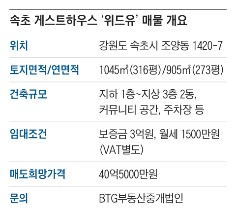 그래픽=조선디자인랩 권혜인