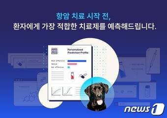 임프리메드 대표 이미지 (소프트뱅크벤처스 제공)