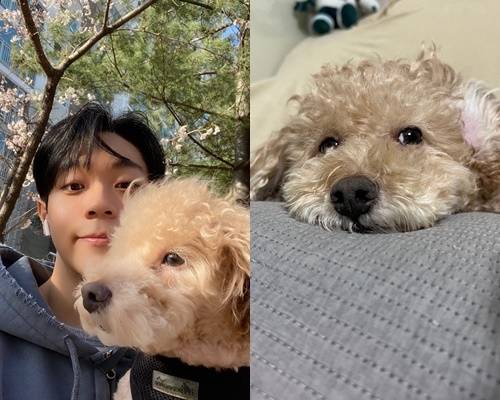 배우 김상우가 펫터뷰를 진행했다. 사진=김상우