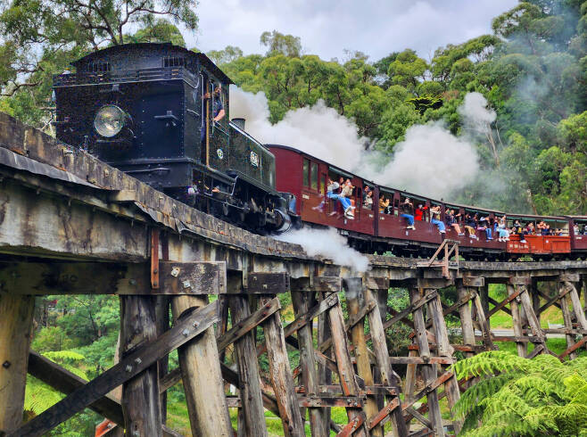 멜버른 퍼핑빌리의 낭만적인 증기열차가 여행자들을 태운채 달리고 있다. [멜버른=함영훈 기자]
