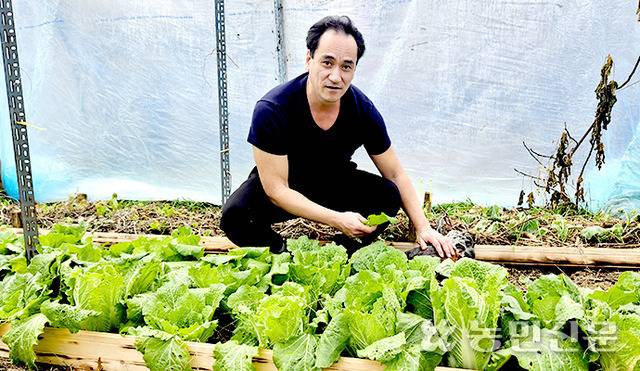 양씨가 직접 만든 비닐온실. 겨울에도 여름옷을 입을 만큼 따뜻하다.