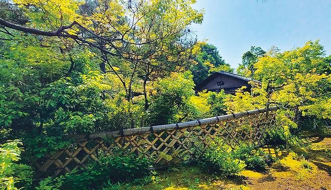 고에쓰지 절’ 다이쿄안(大虛庵) 암자와 대나무 울타리. 다이쿄안은 혼아미고에쓰(本阿弥光悅)가 호로 삼은 그의 거처이고, 대나무 울타리는 ‘고에쓰가키’(光悅垣)라 불릴 만큼 명품으로 꼽힌다. 이 둘이 고에쓰지 경관을 대표한다.