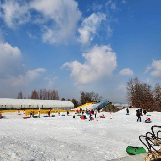 온라인 커뮤니티