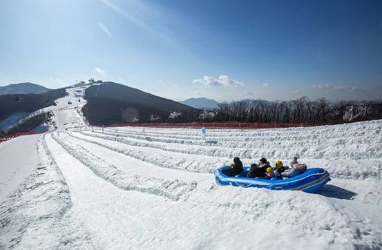 온라인 커뮤니티