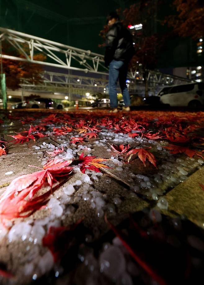 6일 밤 부산 해운대구 한 도로에 우박이 떨어져 있다. 이날 오후 9시를 전후로 5분 정도 해운대구, 수영구, 남구, 사상구, 연제구 등 부산 곳곳에 직경 0.5㎝ 크기 이상의 우박이 쏟아졌다./연합뉴스