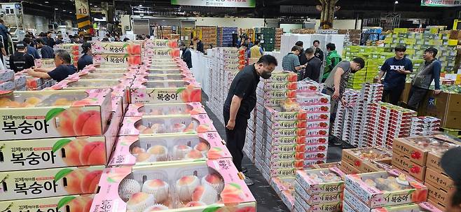 새벽 1시 서울 가락시장 경매장의 모습. 한낮처럼 불을 밝힌 경매장에 과일과 사람이 몰려있다. /박은주기자