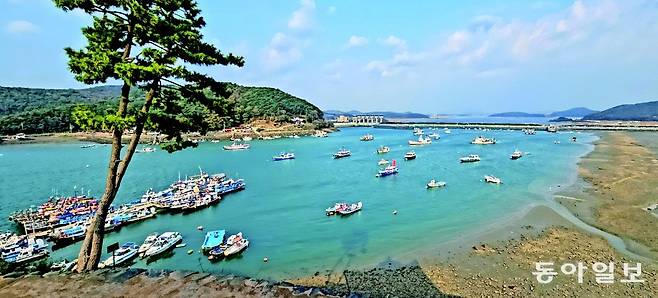 충남 보령에 있는 충청수영성에서 내려다본 오천항의 푸른색 물빛 위에 떠있는 배들은 한 폭의 그림처럼 아름답다. 주꾸미와 키조개, 갑오징어가 많이 잡히는 오천항은 연간 30만 명의 관광객이 찾는 어항으로 유명하다.