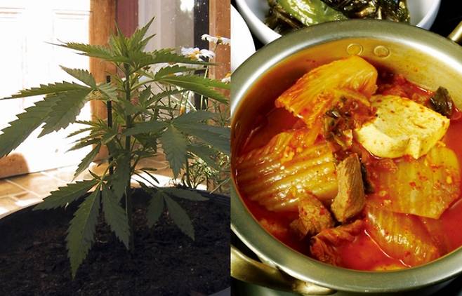 스마트이미지 제공