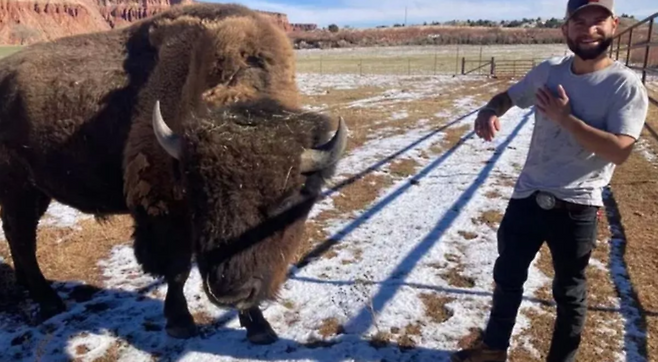 이웃집 들소 구경하다 들소 뿔에 들이받힌 미국 남성 할렌 카르바잘. 이 사고로 갈비뼈가 부러지는 등 큰 부상을 입었다.