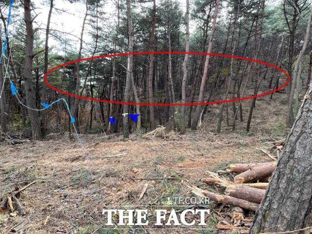 '산불 예방 숲가꾸기 2016년 국립산림과학원 연구결과'에 따르면 해송을 기준으로 1ha(약 3300평) 면적에 가슴 높이인 경우 515본×50%=257.5으로 사업 대상지를 기준으로 선정토록 명시돼 있다. 붉은색 원안은 이기준을 지키지않고 사업을 하고 있는 것으로 보인다./포항=오주섭기자