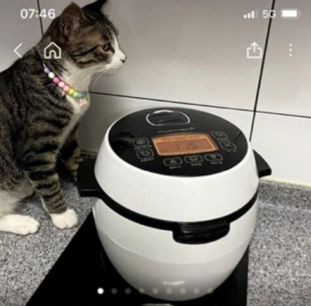 10일 온라인커뮤니티 갈무리.