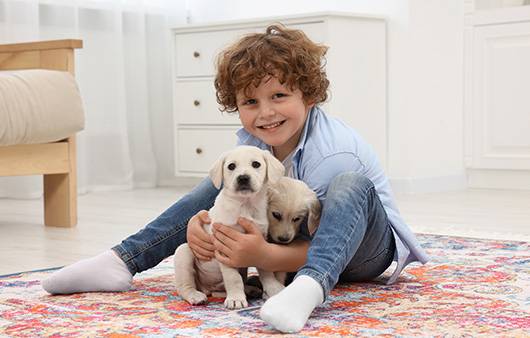 어릴 때부터 강아지 키운 아이는 불안 및 정신 건강 장애 겪을 위험이 낮아진다는 연구 결과가 나왔다|출처: 게티이미지뱅크