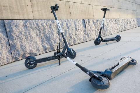 미국 오하이오주 신시내티의 한 보행자 도로에 버드의 공유 전동 스쿠터가 쓰러져 있다. 2017년 설립된 버드는 한때 25억달러 기업 가치를 자랑했지만, 운영난을 견디지 못하고 20일(현지 시각) 법원에 파산 보호 신청서를 제출했다. /AP 연합뉴스