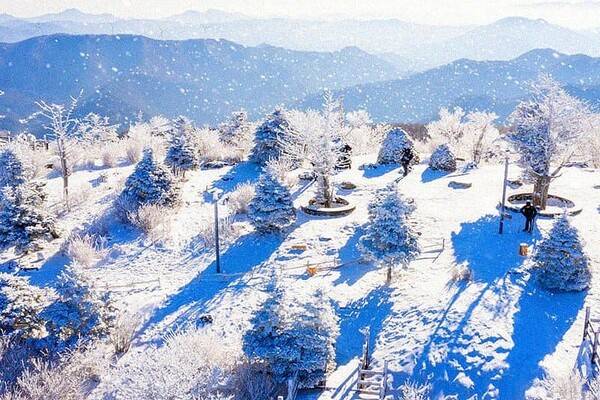 온라인 커뮤니티