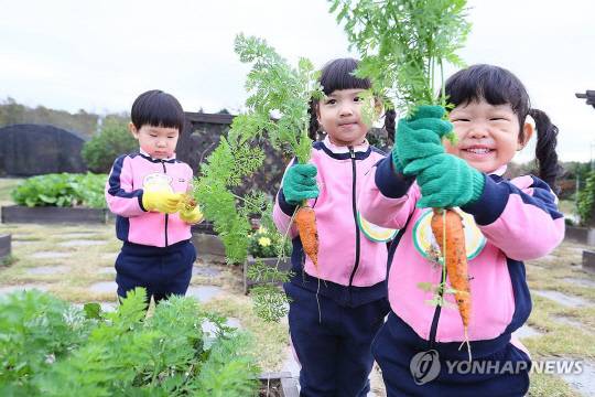 채소 수확 체험하는 아이들. <사진: 연합뉴스>