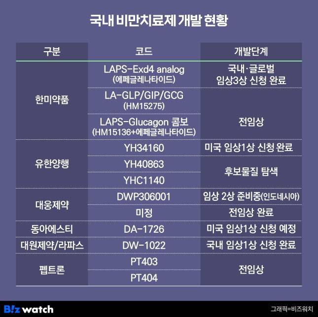 국내 비만치료제 개발 현황. /그래픽=비즈워치