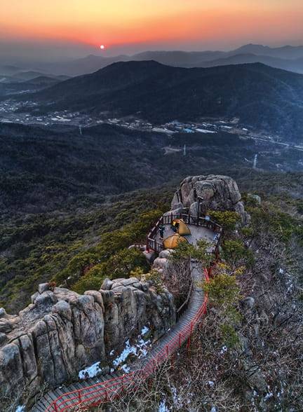 온라인 커뮤니티