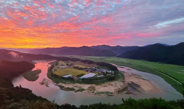 온라인 커뮤니티