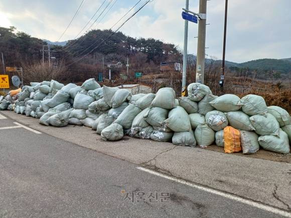 지난 2일 대구시 군위군 부계면 남산리 도로변에 폐반사필름을 담은 포대가 산더미처럼 쌓여 있다.