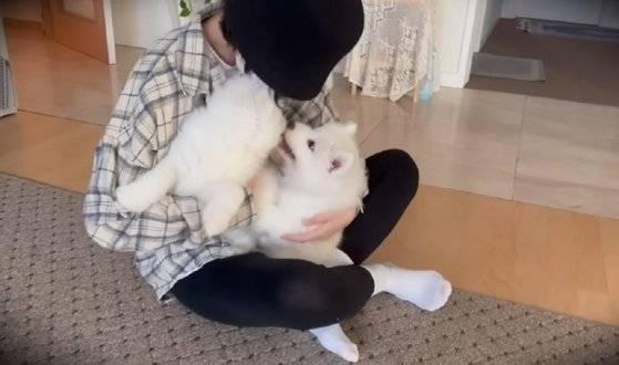 복제한 강아지들을 껴안고 있는 유튜버. 사진 '사모예드 티코' 유튜브 영상 캡처