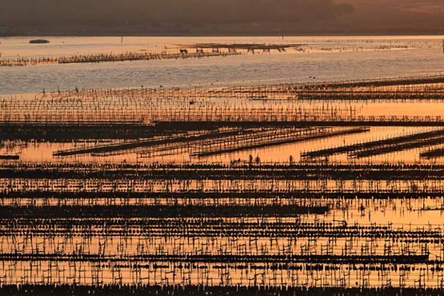 부산 가덕도 눌차대교 인근 굴 양식장에 바다에서 일출이 시작되자 붉은빛이 번지고 있다.