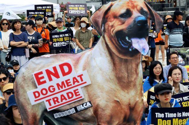 지난해 7월 8일 서울 종로구 보신각 앞에서 열린 2023 개식용 종식 촉구 국민대집회에서 동물권 단체 회원과 시민들이 개식용 반대 피켓을 들고 있다. 뉴시스