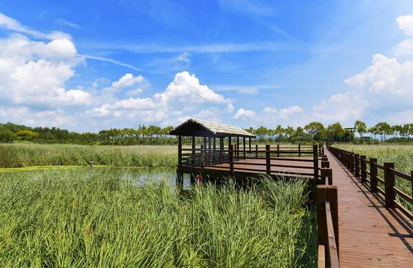 화성 가볼만한 곳 / 온라인 커뮤니티