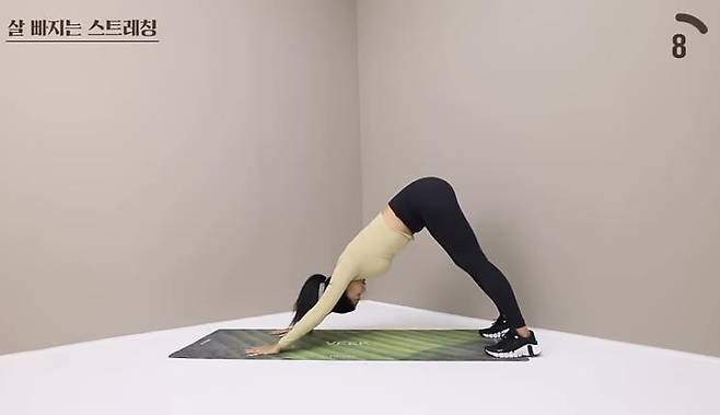 유튜브 〈제이제이살롱드핏〉