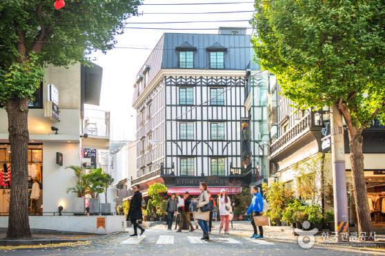 강남구 신사동 가로수길(사진=한국관광공사)
