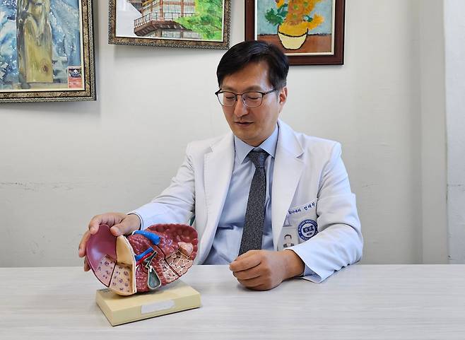 전대원 한양대병원 소화기내과 교수가 간 모형을 이용해 지방간에 대해 설명하고 있다./이정아 기자