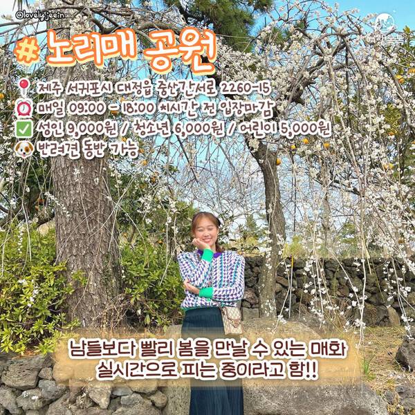 ⓒ여행톡톡 / 제주 노리매공원