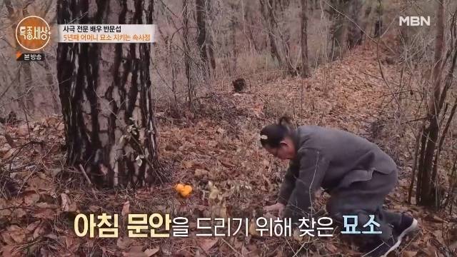 MBN ‘특종세상’ 캡처