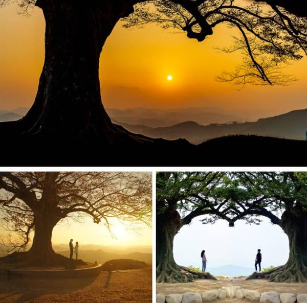 부여 가볼만한 곳 추천 / 온라인 커뮤니티