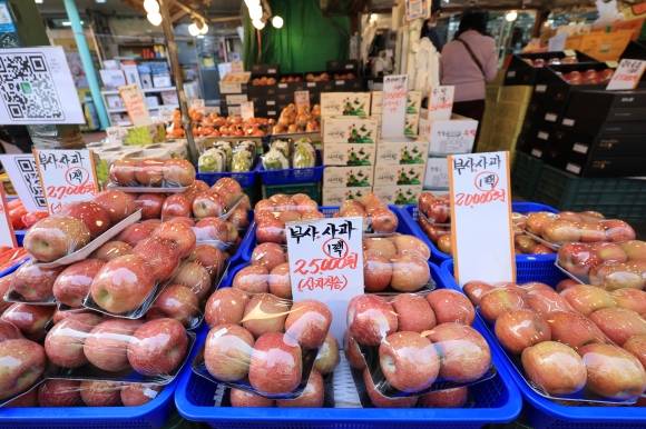 사과값 57% 상승 - 2일 오후 서울 용산구 용산용문시장의 한 과일가게에 사과가 진열돼 있다. 이날 통계청이 발표한 ‘1월 소비자물가 동향’에 따르면 지난달 사과 가격은 지난해 같은 달보다 56.8% 올랐다. 2024. 2. 2. 연합뉴스