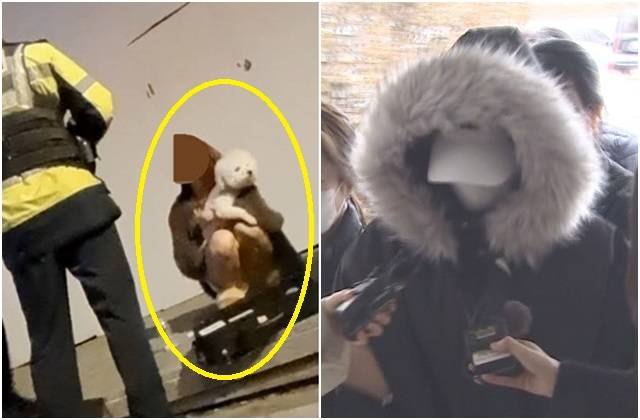 지난 3일 새벽 서울 강남구 논현동에서 발생한 음주운전 사망 사고 이후 강아지를 안고 있는 가해 운전자 안모씨. 오른쪽 사진은 5일 영장실질심사에 출석한 안씨. 유튜브 채널 '카라큘라 미디어' 캡처, 연합뉴스