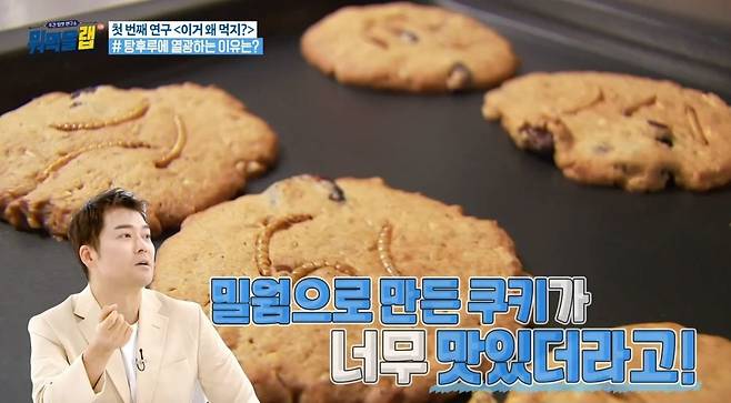 MBC ‘주간 입맛 연구소 뭐먹을랩(Lab)’