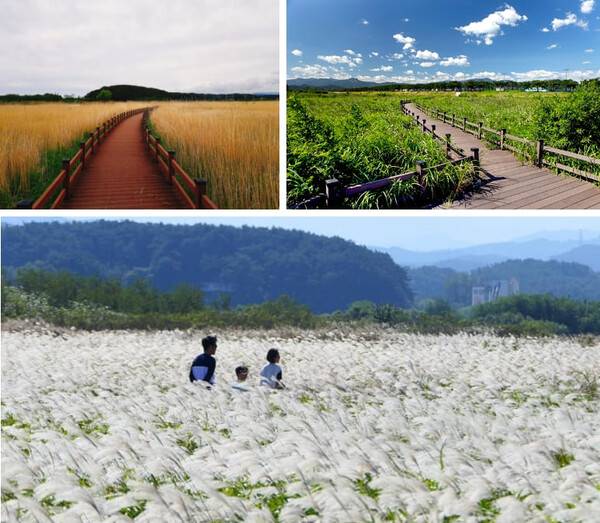 양양 가볼만한 곳 추천 / 온라인 커뮤니티