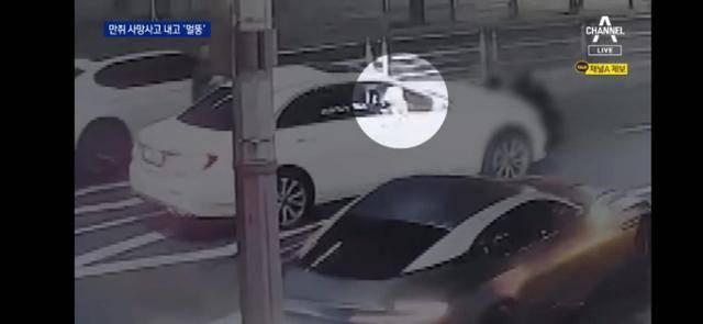 음주운전 사망 사고를 낸 20대 여성의 차량 조수석에서 강아지가 창문 밖으로 고개를 내밀고 있다. 채널A 방송화면 캡처