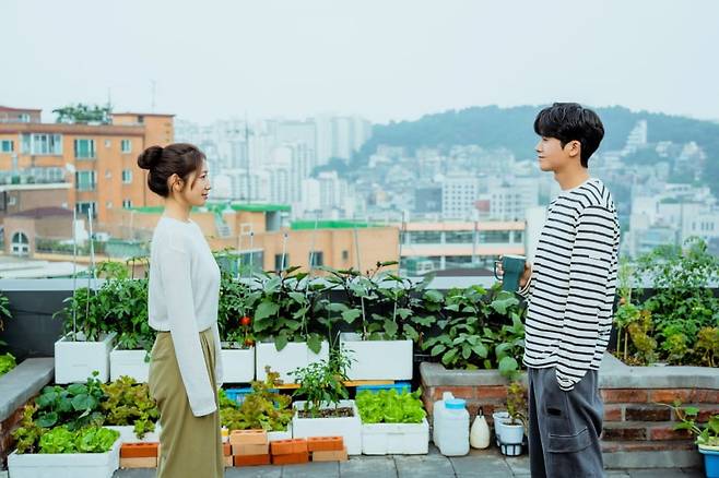 닥터슬럼프