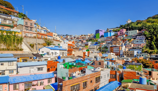 온라인 커뮤니티