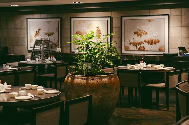 가성비가 괜찮은 유에핀 레스토랑