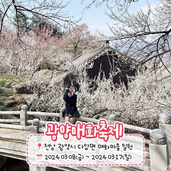 2024 봄꽃축제 일정 총정리 / ⓒ여행톡톡
