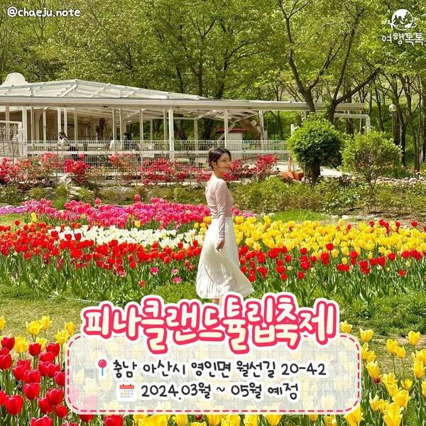 2024 봄꽃축제 일정 총정리 / ⓒ여행톡톡