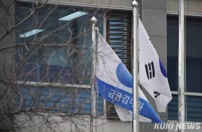 금융감독원. 쿠키뉴스 자료사진