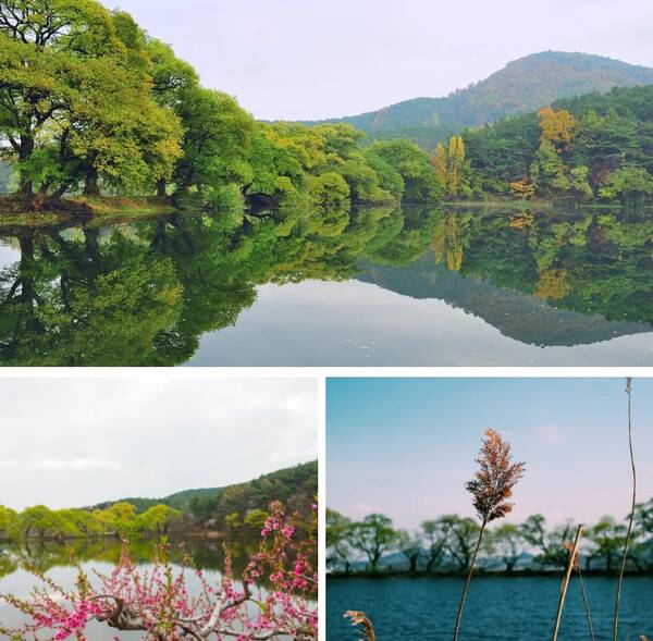 경산 가볼만한 곳 BEST 5 / 온라인 커뮤니티